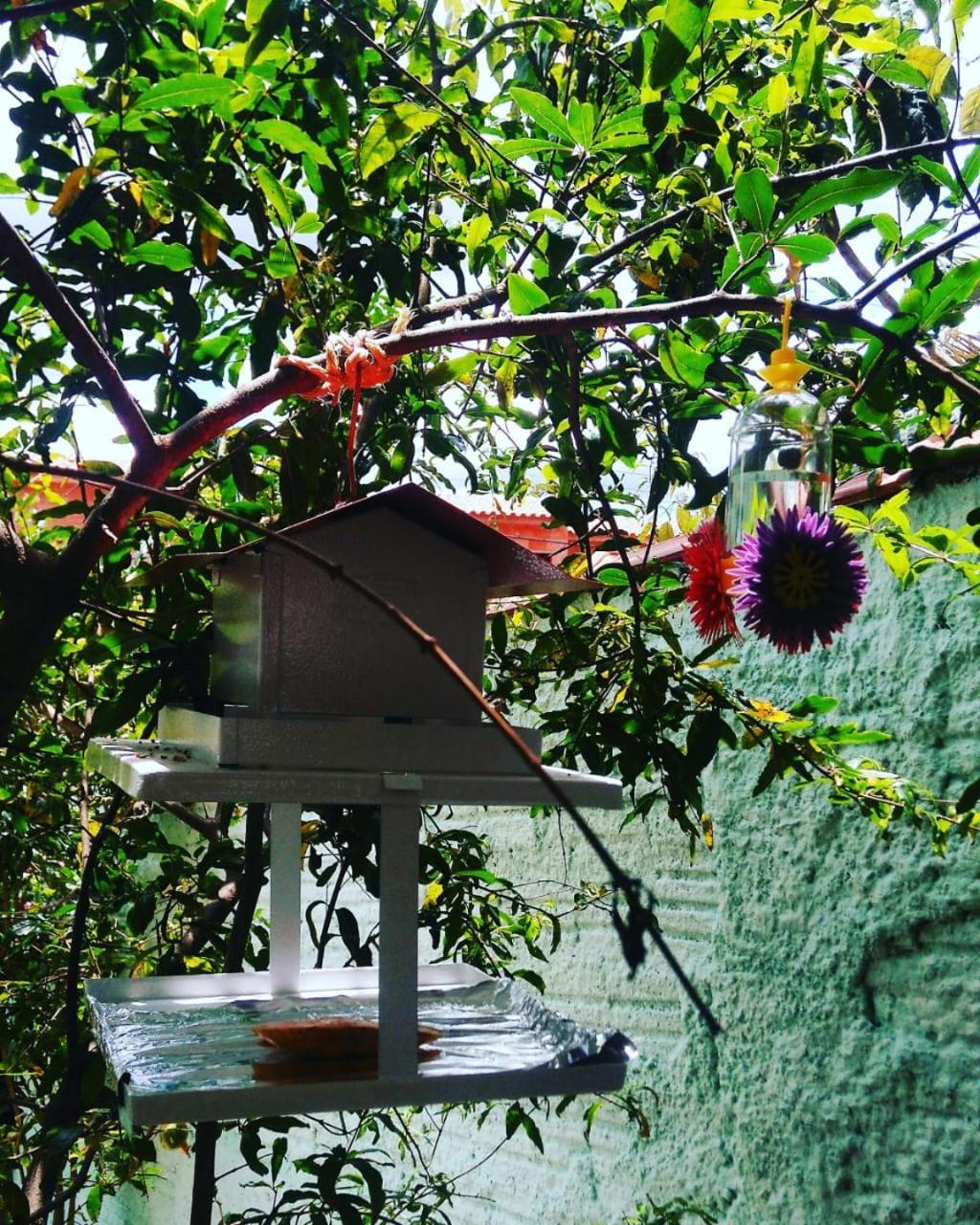 Doce lar Residência - Ambiente Familiar Apartamento Águas de São Pedro Exterior foto
