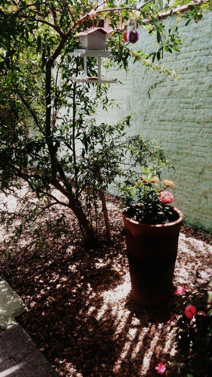 Doce lar Residência - Ambiente Familiar Apartamento Águas de São Pedro Exterior foto